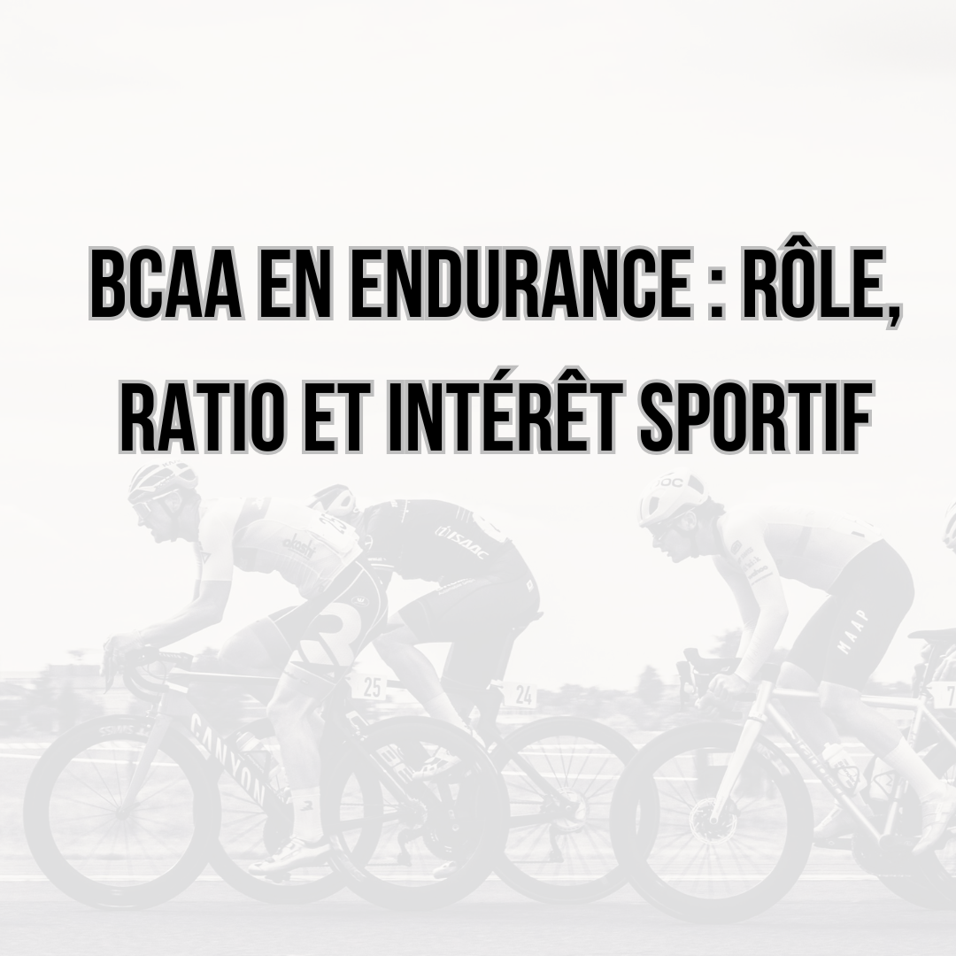 BCAA en endurance : rôle, ratio et intérêt sportif